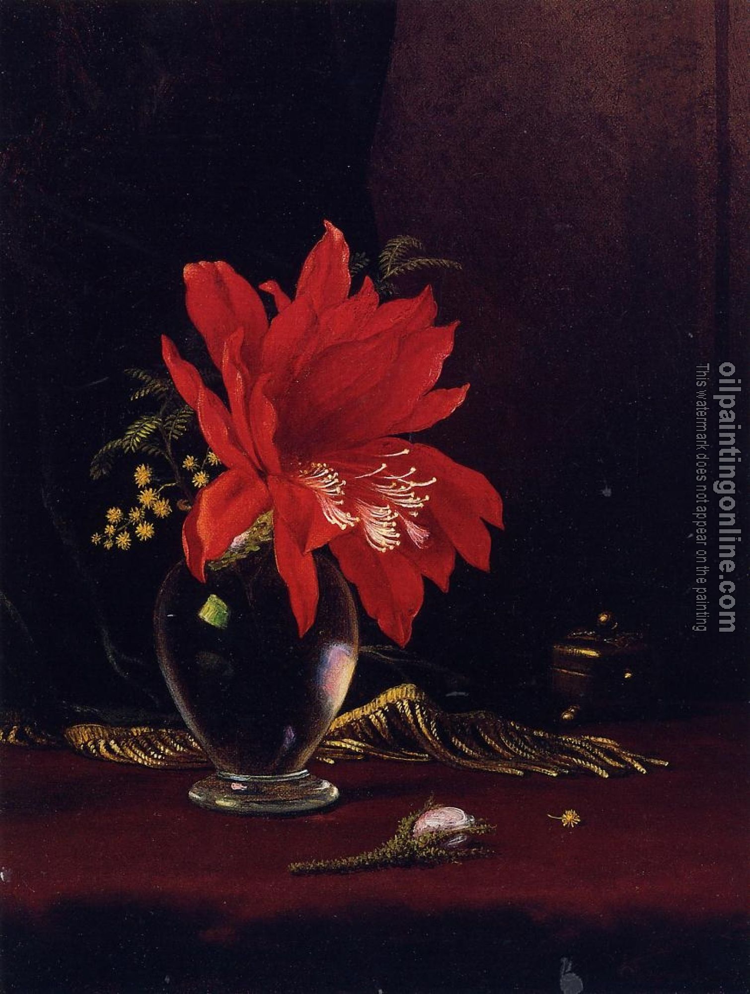 Heade, Martin Johnson - Red Flower in a Vase